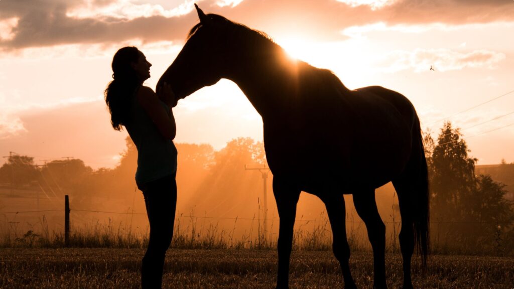 A person and a horse backlit at sunset