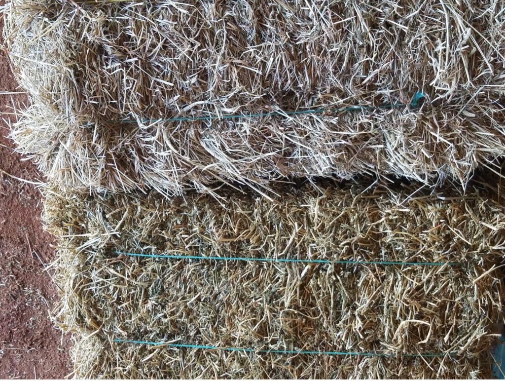 two square bales side-by -side view.