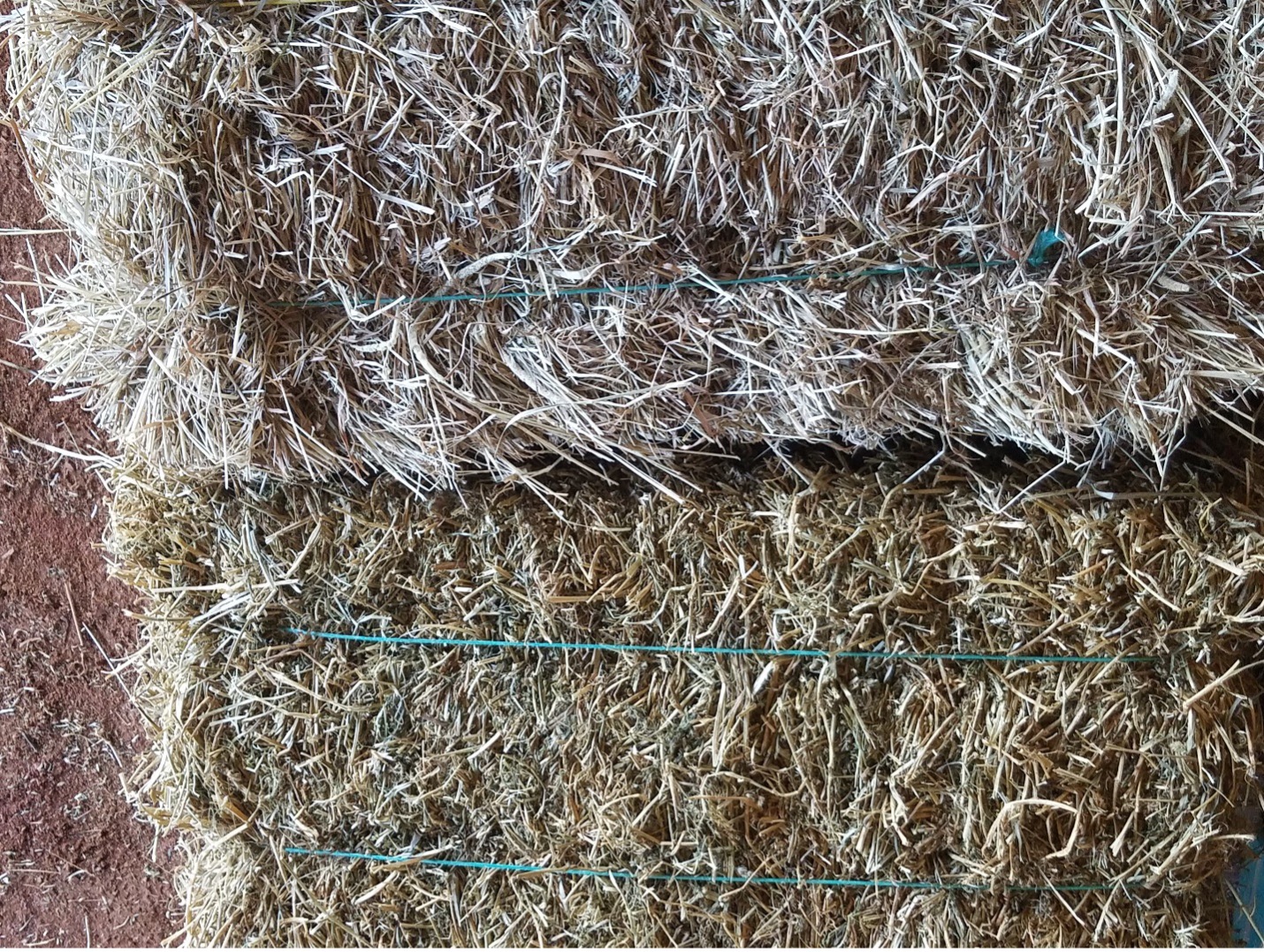 two square bales side-by -side view.