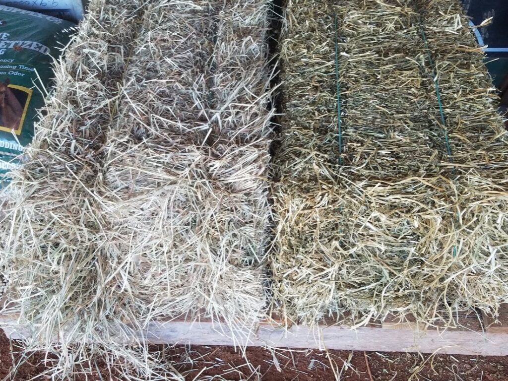 two square bales of hay on pallet