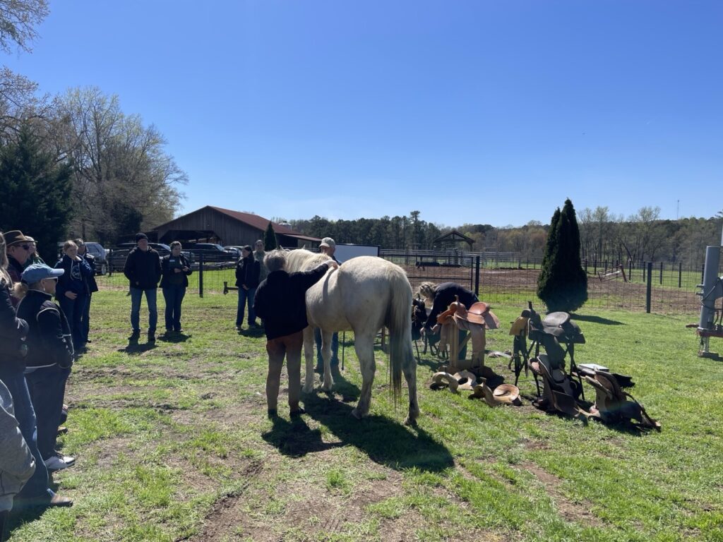 An outdoor equine workshop where a group watches an instructor demonstrate on a light-colored horse. Several western saddles on stands are visible nearby under a clear blue sky.