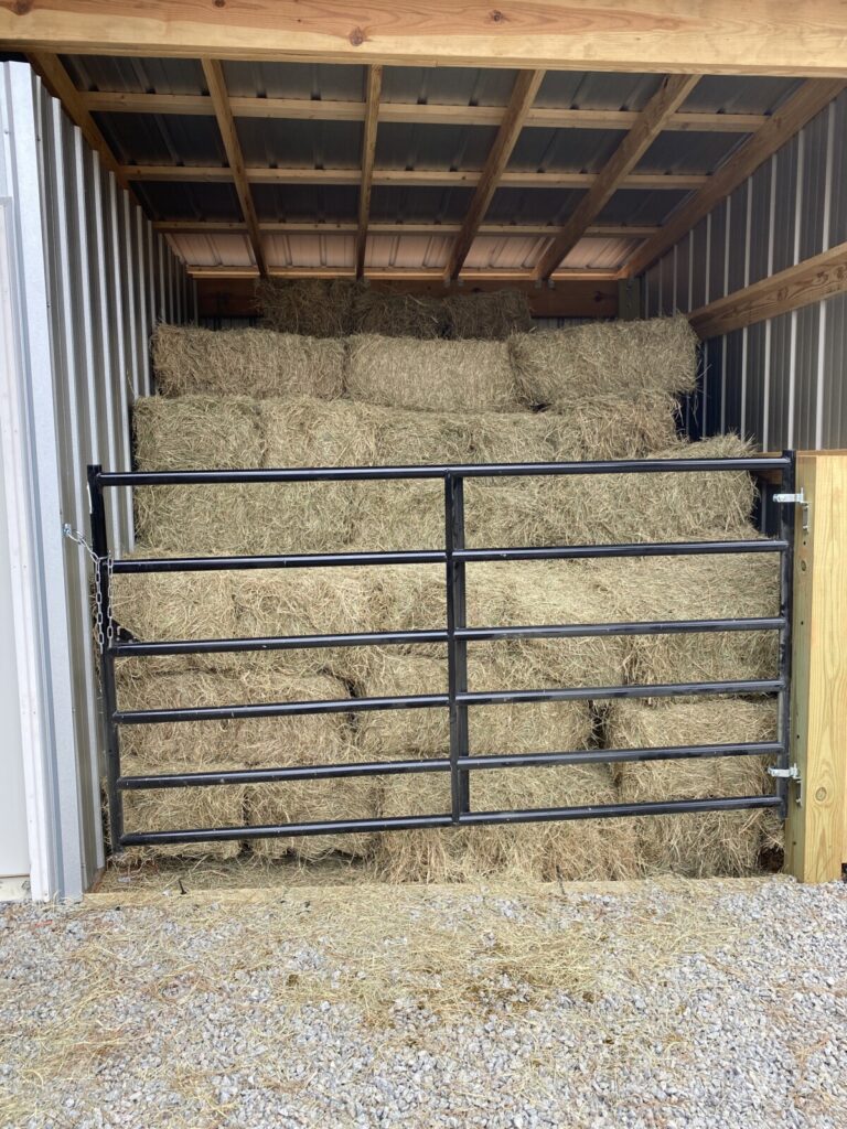Square bales of hay stacked tightly inside a metal-walled storage shed, secured behind a closed black metal tube gate.