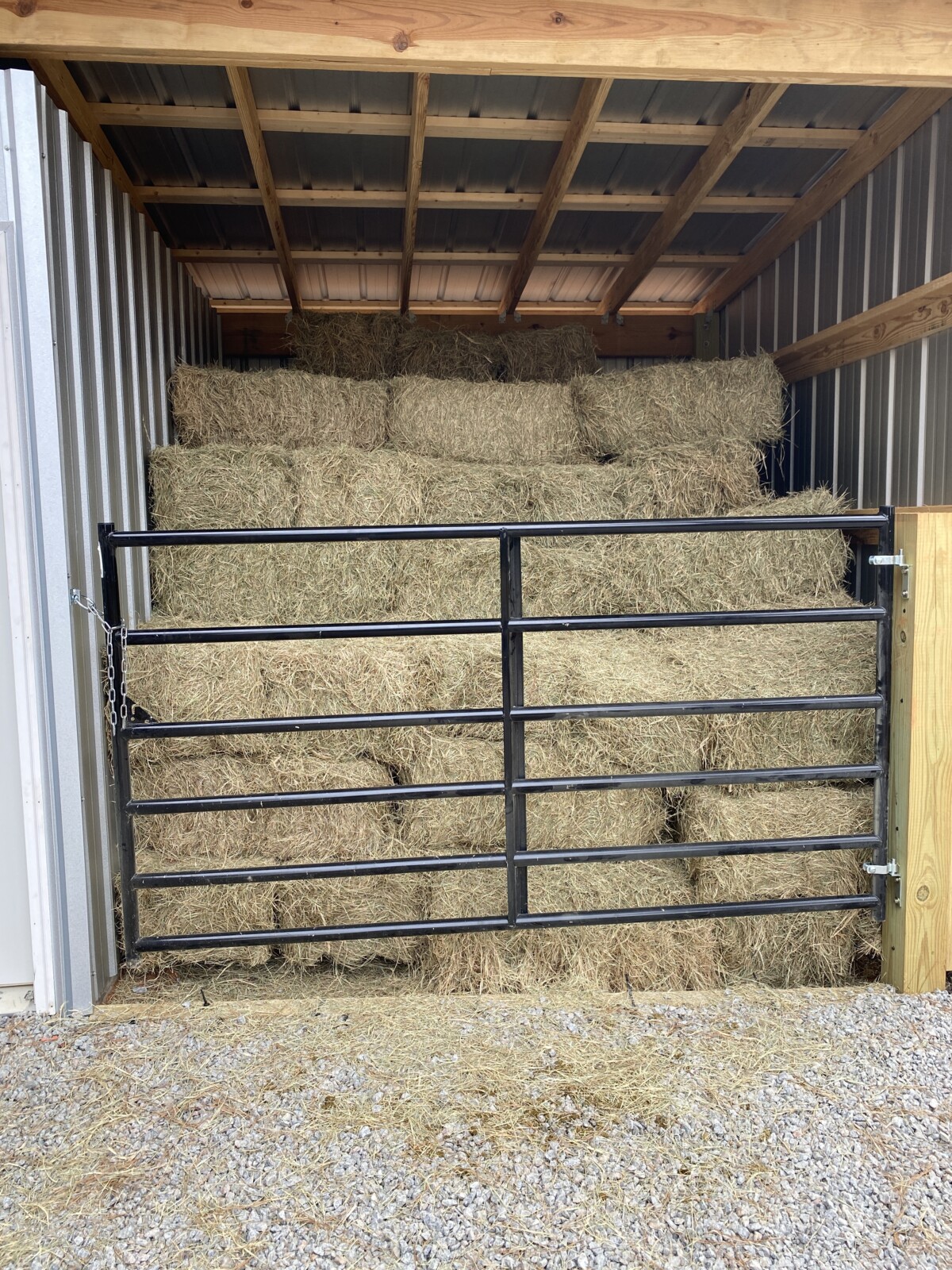 Square bales of hay stacked tightly inside a metal-walled storage shed, secured behind a closed black metal tube gate.